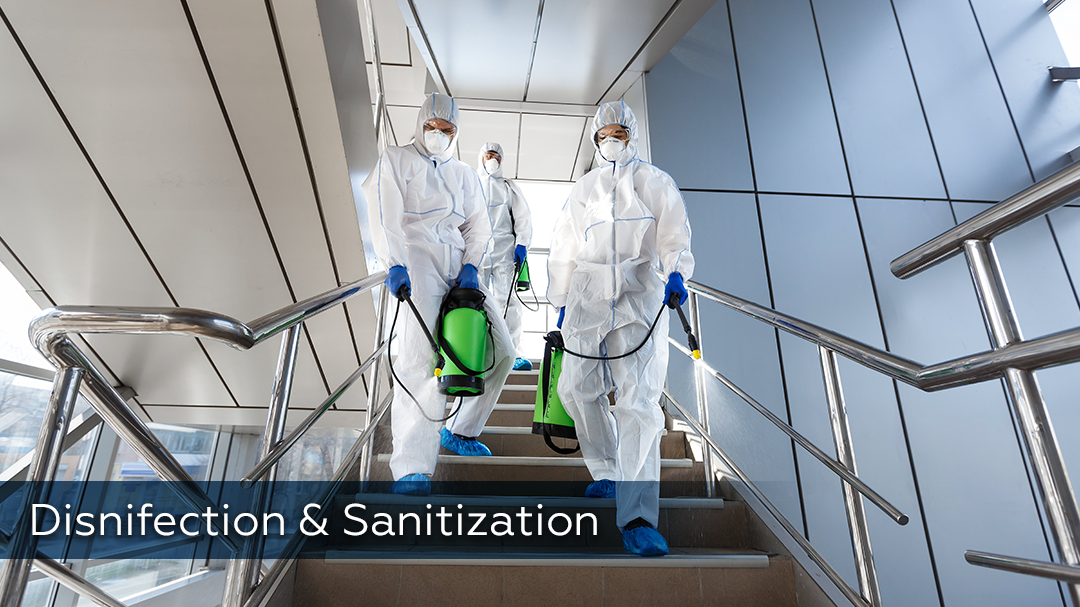 Desinfection & Sanitization